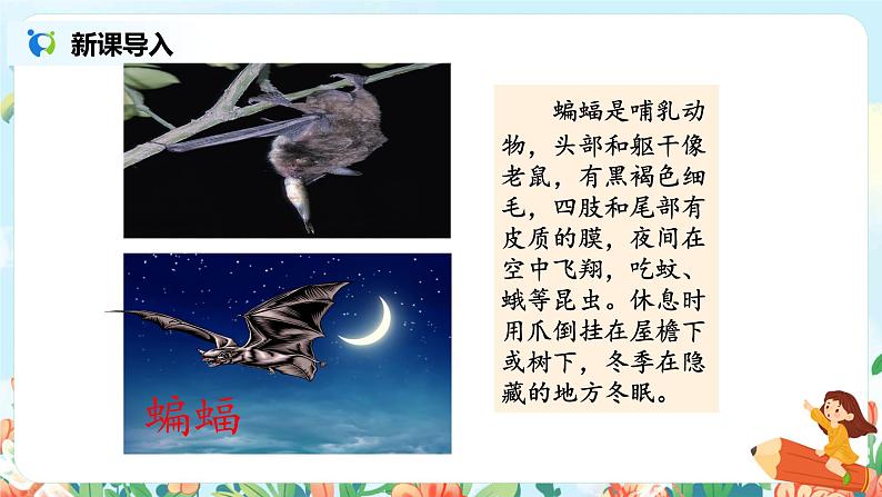 6《夜间飞行的秘密》第一课时课件ppt+教案+练习03