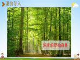 人教统编版二年级语文下册《23 祖先的摇篮 第1课时》教学课件PPT小学公开课