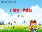 人教统编版二年级语文下册《9 枫树上的喜鹊 第2课时》教学课件PPT小学公开课