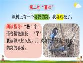 人教统编版二年级语文下册《9 枫树上的喜鹊 第2课时》教学课件PPT小学公开课