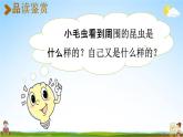 人教统编版二年级语文下册《22 小毛虫 第2课时》教学课件PPT小学公开课