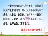 人教统编版二年级语文下册《22 小毛虫 第2课时》教学课件PPT小学公开课