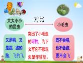 人教统编版二年级语文下册《22 小毛虫 第2课时》教学课件PPT小学公开课