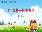 人教统编版二年级语文下册《11 我是一只小虫子 第2课时》教学课件PPT小学公开课