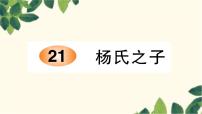 小学语文人教部编版五年级下册21 杨氏之子教学演示ppt课件