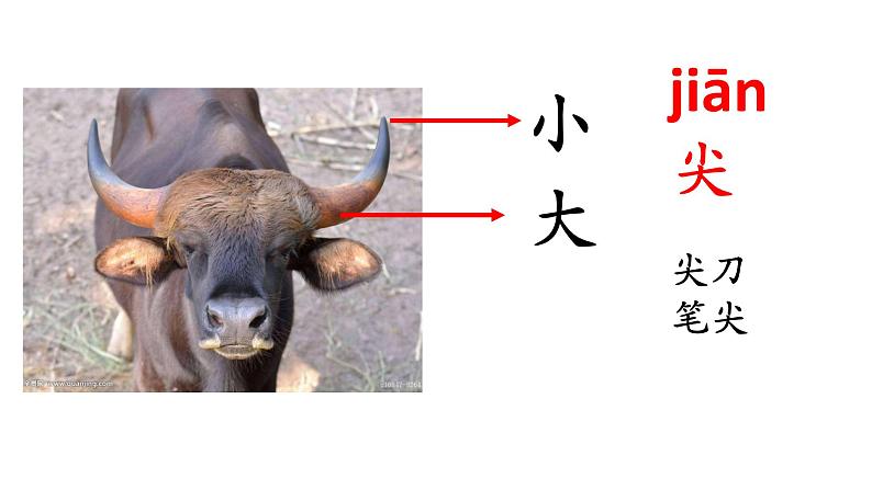 一年级上册语文课件识字9《日月明》(共17张PPT)第6页