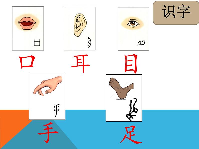 一年级上册语文课件识字13《口耳目》(共19张PPT)(1)第7页