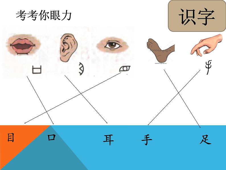 一年级上册语文课件识字13《口耳目》(共19张PPT)(1)第8页