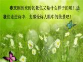 人教统编版二年级语文下册《15 古诗二首 第2课时》教学课件PPT小学公开课