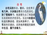 人教统编版二年级语文下册《15 古诗二首 第2课时》教学课件PPT小学公开课
