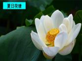 部编版小学语文一年级下册12 古诗二首 课件