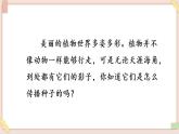 部编版五四学制二年级上册 植物妈妈有办法课件