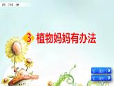 部编版五四学制二年级上册 植物妈妈有办法课件