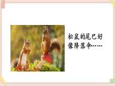 部編版五四學(xué)制二年級上冊口語交際： 有趣的動物課件