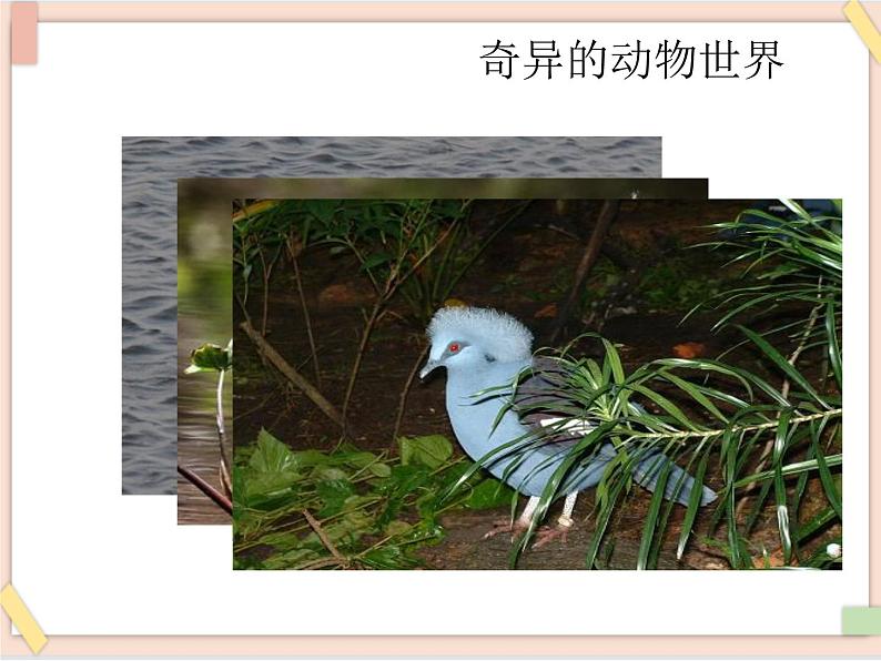 部编版五四学制二年级上册拍手歌课件第2页
