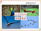 部編版五四學制二年級上冊拍手歌課件
