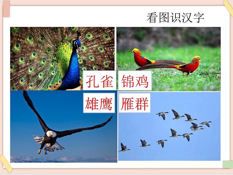 部编版五四学制二年级上册拍手歌课件第3页