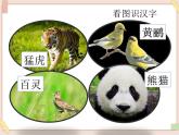 部編版五四學制二年級上冊拍手歌課件
