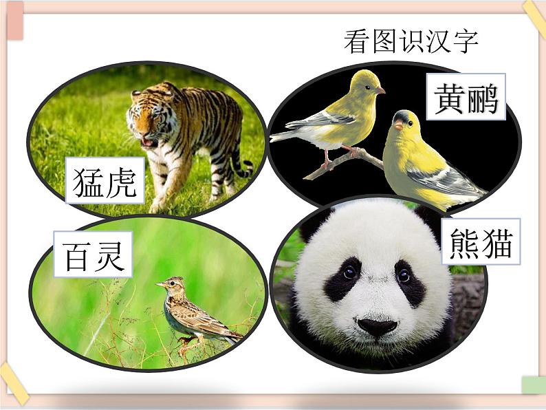 部编版五四学制二年级上册拍手歌课件第4页