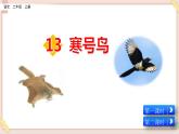 部编版五四学制二年级上册寒号鸟课件
