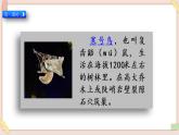部编版五四学制二年级上册寒号鸟课件