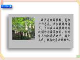 部編版五四學(xué)制二年級上冊我要的是葫蘆課件