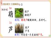 部編版五四學(xué)制二年級上冊我要的是葫蘆課件
