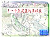 部編版五四學(xué)制四年級上冊5 一個豆莢里的五粒豆課件