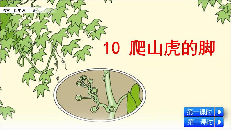 部编版五四学制四年级上册10 爬山虎的脚课件02