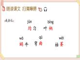 部編版五四學(xué)制四年級(jí)上冊(cè)10 爬山虎的腳課件