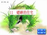 部編版五四學(xué)制四年級(jí)上冊11 蟋蟀的住宅課件