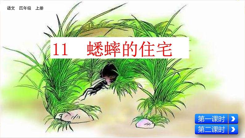 部编版五四学制四年级上册11 蟋蟀的住宅课件02