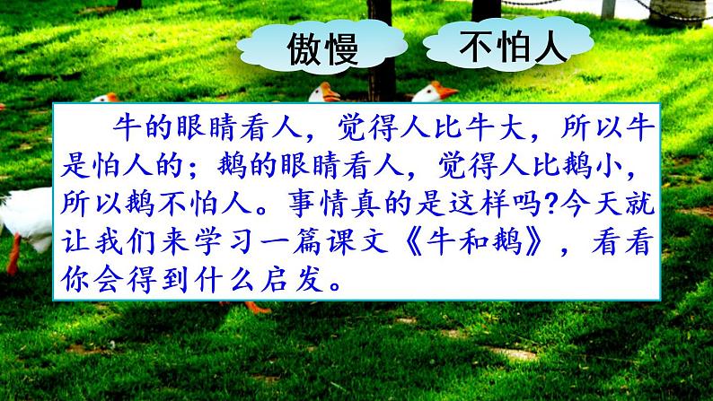 部编版五四学制四年级上册18 牛和鹅课件01
