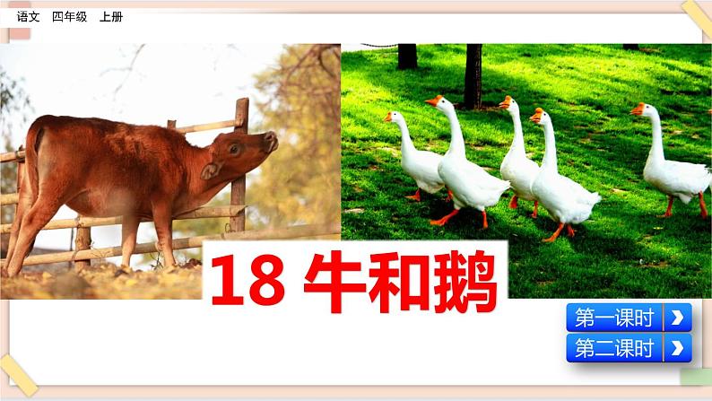 部编版五四学制四年级上册18 牛和鹅课件02