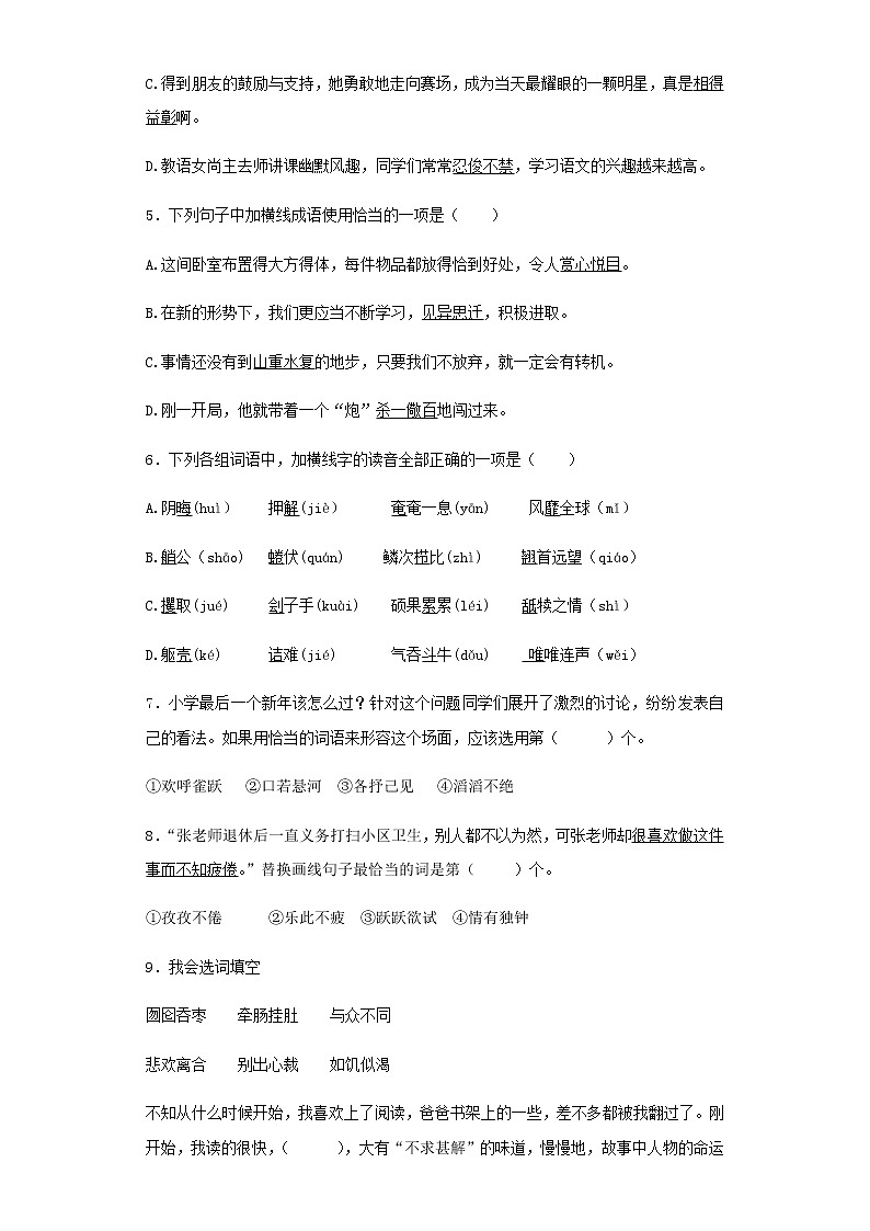小升初语文知识专项训练（基础知识一）-13.成语和熟语第2页