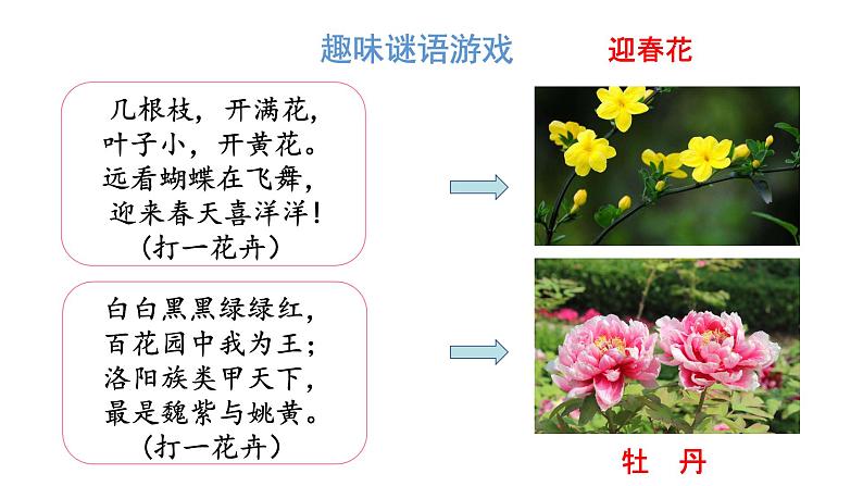 部编版语文六年级上册《花之歌》　课件02
