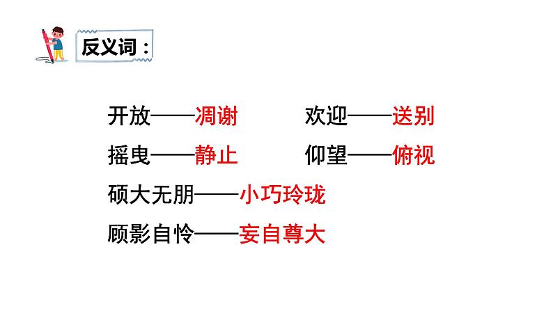 部编版语文六年级上册《花之歌》　课件08