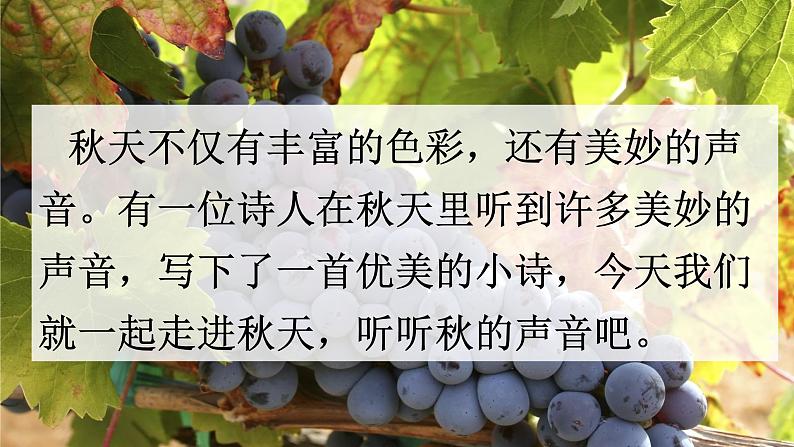 7《听听，秋的声音》课件第4页