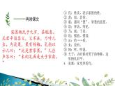 五年级语文下册微课课件-21 杨氏之子-部编版(共20张PPT)