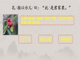 五年级语文下册微课课件-21 杨氏之子-部编版(共11张PPT)