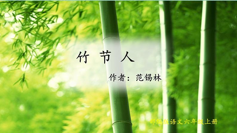 部编版语文六年级上册《竹节人》　课件05