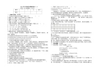 小升初模拟测试(试题)六年级下册语文部编版 (二)（无答案）