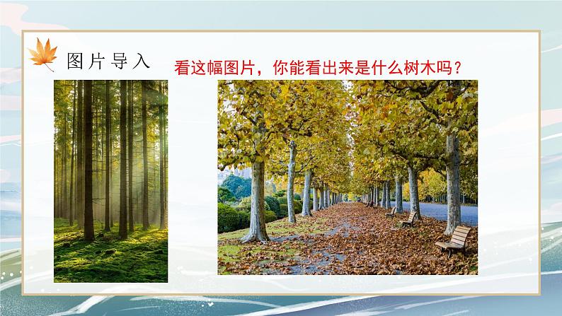 部编版小学二年级上册《树之歌》第一课时教案+课件04