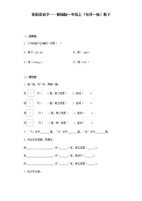 暑假提前学——部编版一年级上（每日一练）影子（含答案）