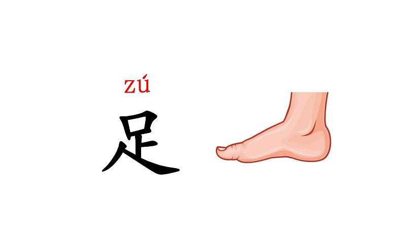 人教部编版一年级语文上册第1单元识字3口耳目课件07