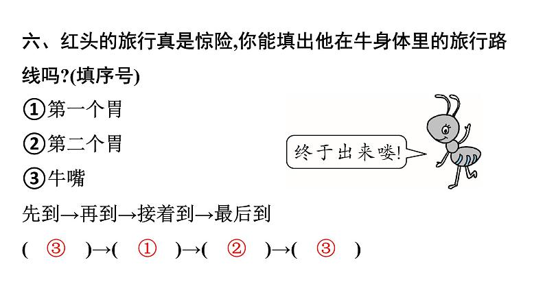 三年级上册语文作业课件-10 在牛肚子里旅行 部编版(共17张PPT)08