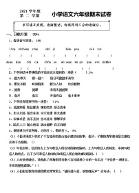 期末试卷（试题）六年级下册语文部编版（无答案）