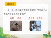 2022-2023学年二年级上册语文部编版02 教学课件_寒号鸟（第2课时）