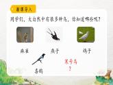 2022-2023学年二年级上册语文部编版02 教学课件_寒号鸟（第1课时）