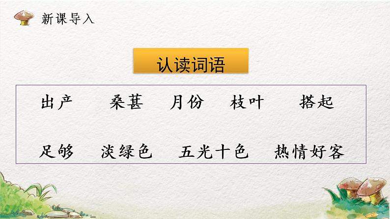 2022-2023学年二年级上册语文部编版02 教学课件_葡萄沟（第2课时）第2页